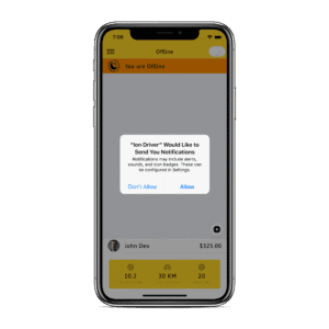 Taxi Driver App Template | Ionic 5 - Image 5