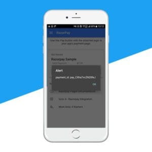 Razorpay Payment Integration Starter Template | Ionic 4 - Image 6